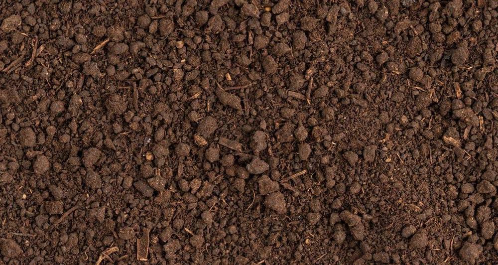Come è fatto l’humus di lombrico: fai attenzione che abbia queste caratteristiche