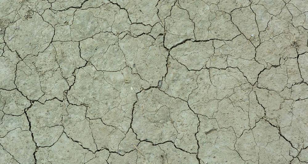 Come rendere fertile un terreno scarso di nutrienti