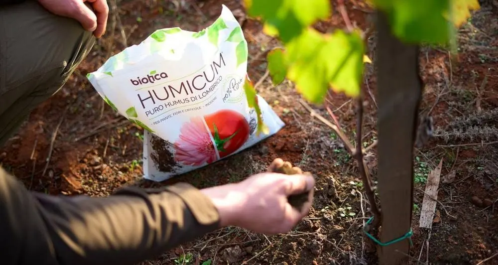 Come risparmiare acqua in agricoltura: dalla scelta del fertilizzante alle pratiche sosten