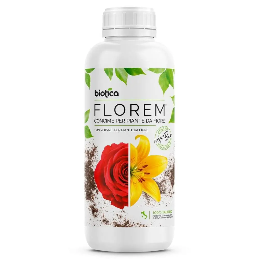 Florem
