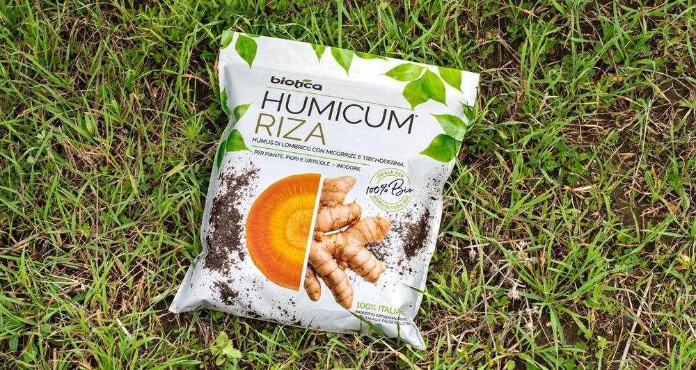 Micorrize e Trichoderma: cosa sono e come utilizzarli per un orto in salute