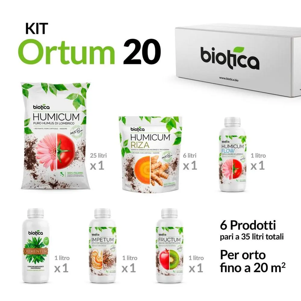 Ortum 20